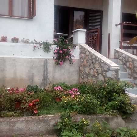 Guesthouse Filepi เซนญ์ ภายนอก รูปภาพ